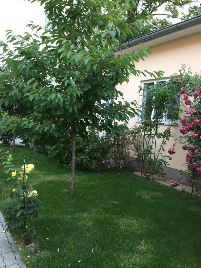 באדן Terrasse Wohnungen Mit Parking In Zentrum מראה חיצוני תמונה