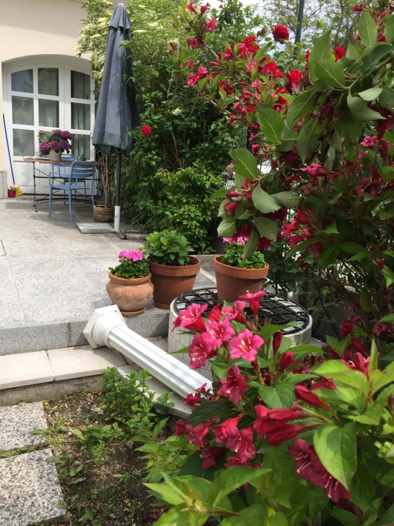 באדן Terrasse Wohnungen Mit Parking In Zentrum מראה חיצוני תמונה